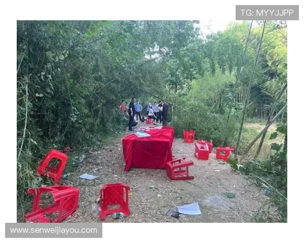 卢参与非法赌博事件引发热议美网友呼吁逮捕以便小范甘迪接任